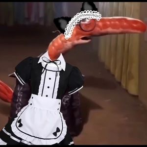 Meet your Posher, Anthony